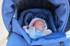 Schutzenfest_2012_456