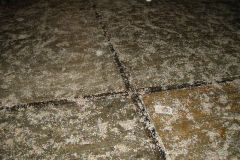 Schutzenfest_2012_791