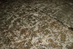 Schutzenfest_2012_794