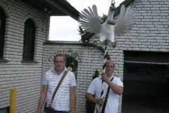 Vogel_21_06_2012_004