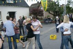 Vogel_21_06_2012_051