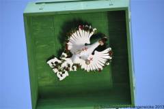 2013_montagDSC_0059
