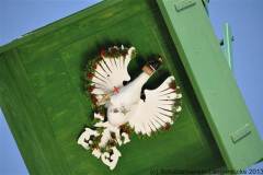 2013_montagDSC_0065