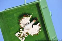 2013_montagDSC_0079