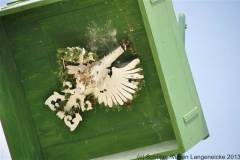 2013_montagDSC_0098