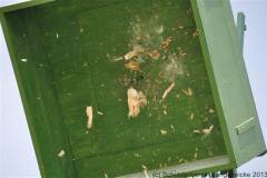 2013_montagDSC_0138