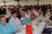 Fotos_Sommerfeld_2013_1545