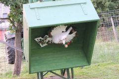 Schuetzenfestsamstag_2013_206