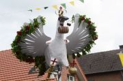 Fotos_Sommerfeld_2013_0336