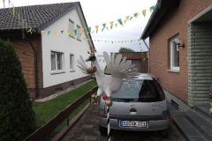 Vogelwegbringen_2013_106