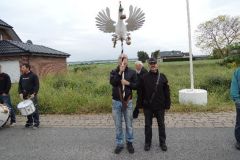 Vogelwegbringen_2013_124