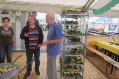 Aufbau-Sonntagmorgen_2014_1106