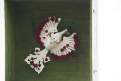 Kaiserschiessen_2014_9423