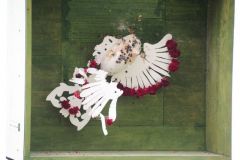 Kaiserschiessen_2014_9607