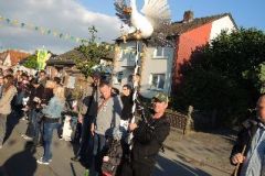 Vogelwegbringen_2014_1118