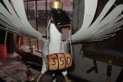 Vogelmachen_2014_7128