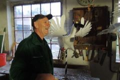 Vogelmachen_2014_7141