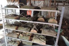 Vorbereitungen_Jubiloum_2014_4104