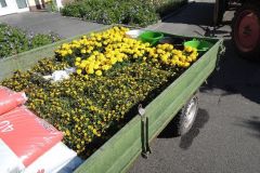 Vorbereitungen_Jubiloum_2014_6102