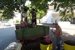 Vorbereitungen_Jubiloum_2014_6106