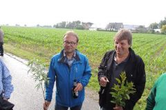 Fahnenwegbringen-2015_1163