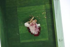 Schuetzenfestmontag_2015_1163a_49