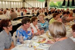 Montag-Foto-Sommerfeld-2015_1108