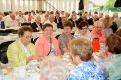 Montag-Foto-Sommerfeld-2015_1109