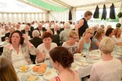 Montag-Foto-Sommerfeld-2015_1112