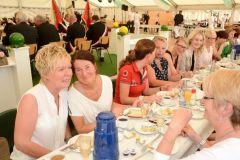 Montag-Foto-Sommerfeld-2015_1113