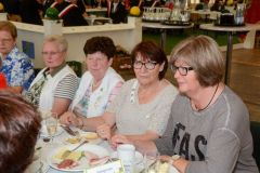 Montag-Foto-Sommerfeld-2015_1115