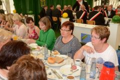 Montag-Foto-Sommerfeld-2015_1117