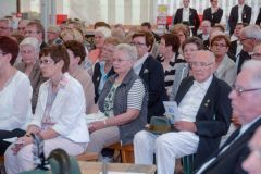 Samstag-Foto-Sommerfeld-2015_1104