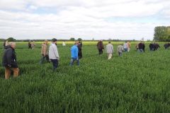 Schnadgang-2015_1129