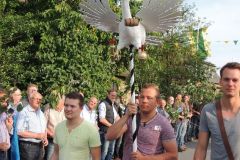 Vogelwegbringen_2015_1134