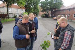 Fahnenwegbringen-2016_1134