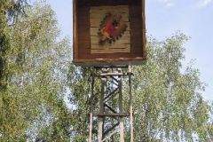 Jungschuetzenschiessen_2016_1119