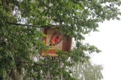 Jungschuetzenschiessen_2016_1130