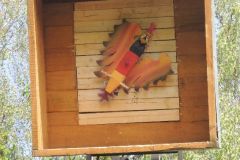 Jungschuetzenschiessen_2016_1172