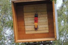 Jungschuetzenschiessen_2016_1173