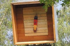 Jungschuetzenschiessen_2016_1174