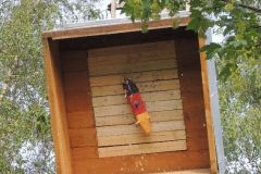 Jungschuetzenschiessen_2016_1205