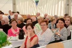 Sommerfeld-Montag-2016_10136