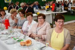 Sommerfeld-Montag-2016_10145