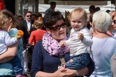 Sommerfeld-Montag-2016_10286