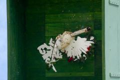 Sommerfeld-Montag-2016_10390