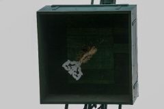 Sommerfeld-Montag-2016_10465