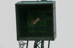 Sommerfeld-Montag-2016_10466