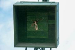 Sommerfeld-Montag-2016_10480