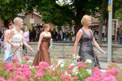 Sommerfeld_Montag_2016_10846